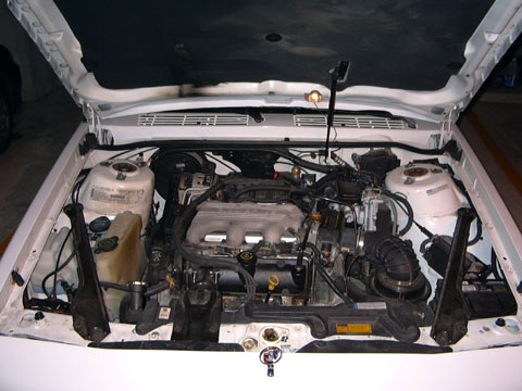 underhood